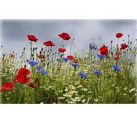 Puzzle Adulte 1000 Pieces Champ De Fleurs D'été : Coquelicots, Bleuets Et Marguerites 75 * 50Cm