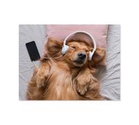 Puzzle Adulte 1000 Pièces，Chansons Musicales de Golden Retriever，Intellectuel Décompression Jouet Amusant Jeu De Famille pour Adultes Et Enfants（75x50cm）-I23