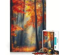 Puzzle Adulte 1000 pièces Chemin forestier d'automne,Assemblage Parfait,Art,Jeu Intelligent,Cadeau de Jeu Lent,Cadeau Artistique de Noël (38x26cm)