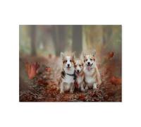 Puzzle Adulte 1000 Pièces，Corgis dans Les Feuilles mortes，Intellectuel Décompression Jouet Amusant Jeu De Famille pour Adultes Et Enfants（38x26cm）-N28