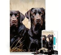 Puzzle Adulte 1000 pièces Deux Labradors Jeu de précision Jouet cérébral Intelligent pour Passer Le Temps Libre Cadeau d'anniversaire pour Les Esprits (50x75cm)