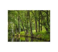 Puzzle Adulte 1000 Pièces，La Spreewald，Intellectuel Décompression Jouet Amusant Jeu De Famille pour Adultes Et Enfants（38x26cm）-Q28