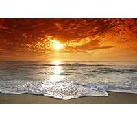 Puzzle Adulte 1000 Pieces Océan Coucher De Soleil Paysage Plage Horizon 75 * 50Cm