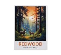 Puzzle Adulte 1000 Pièces，Parc National de Redwood，Artisanat Cadeau Famille Puzzle Classique 3D Puzzle Jouet en Papier Cadeau Unique Décoration Intérieure（50x70cm）-V58