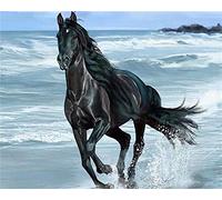 Puzzle Adulte 1000 Pièces Paysage Puzzle en Bois Puzzle en 3D Cheval Noir Au Bord De La Mer DIY Éducatif Puzzle Noël Décoration De Maison Cadeau,75X50Cm