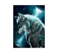 Puzzle Adulte 1000 Pièces Paysage Puzzle en Papier Puzzle en 3D，Loup et planète，DIY Art Moderne Cadeau Spécial Déco Maison（50x70cm）-R64