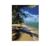 Puzzle Adulte 1000 Pièces,Plage de Pukoo - Molokaï,Artisanat Cadeau Famille Puzzle Classique 3D Puzzle Jouet en Bois Cadeau Unique Décoration Intérieure(75x50cm)-AX6
