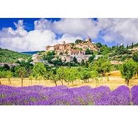 Puzzle Adulte 1000 Pieces Plantation De Lavande en Provence, France 75 * 50Cm