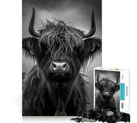 Puzzle Adulte 1000 pièces,Portrait de Vache Highland en Noir et Blanc,Photo soignée,décoration,Jeu de réflexion,Divertissement Occasionnel,décoration de Noël (38x26cm)