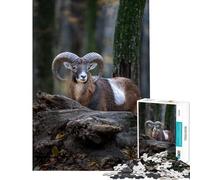 Puzzle Adulte 1000 pièces Portrait majestueux d'un Mouflon dans Un décor forestier Puzzle 1000 pièces Décoration intérieure Jouet Cadeau d'anniversaire Unique (38x52cm)