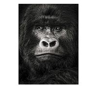 Puzzle Adulte 1000 Pièces Puzzle 3D Gorille-1000 Puzzles pour Adultes et Adolescents Puzzles 1000 pièces pour Adultes Jeu de Puzzle pour Enfants Jouets Cadeau Artisanat Cadeau Famille Puzzle Clas