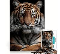 Puzzle Adulte 1000 pièces Regard de Tigre, Jeu d'assemblage précis, Jouet cérébral Intelligent, pour Passer du Temps Libre, Cadeau d'anniversaire pour stimuler l'esprit (38x26cm)