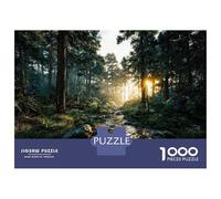 Puzzle Adulte 1000 Pièces, Sunlight Streams Through A Forest Path, Soirée en Famille, Cadeau pour Adultes, Pièces Durables, 52x38cm/1000pcs