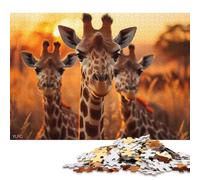 Puzzle Adulte 1000 pièces « Trois girafes » : Jeu éducatif pour Adolescents Adultes (75 x 50 cm)