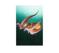 Puzzle Adulte 1000 Pièces，Vol des calmars dans Les Profondeurs Marines, mer Turquoise，Classique Puzzle Adulte Kit De Bricolage Jouet en Papier Cadeau Unique Moderne Home Decor（50x70cm）-AR55