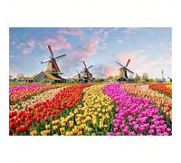 Puzzle Adulte 120 Pièces Fleur de Tulipe 25 x 20 cm Puzzles pour Adultes Jeu éducatif Défi Jouets 120 pièces Puzzles pour Adultes pour Jeux d'activités Familiales