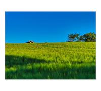 Puzzle Adulte 1500 Pièces,Activité Anti-Stress-Champ,Maison,Nature 87x57cm