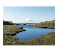 Puzzle Adulte 1500 Pièces,Activité Anti-Stress-Étang,Rive,Herbe,Ciel,Nature 87x57cm