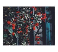 Puzzle Adulte 1500 Pièces, Cadeau Unique-Baies,Feuilles,Branches 87x57cm