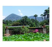 Puzzle Adulte 1500 Pièces, Décoration Intérieure-Fleurs,Mur,Pots 87x57cm