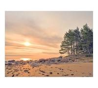 Puzzle Adulte 1500 Pièces,Décoration Murale-Plage,Pierres,mer 87x57cm