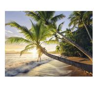Puzzle Adulte 1500 Pieces : Plage Paradisiaque Au couche Du Soleil - Collection Paysage Mer Ocean - Palmier -