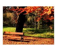 Puzzle Adulte 1500 Pièces,Unique Home Decor-Banc,Parc,Arbre 87x57cm