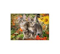 Puzzle Adulte 2 Adorables Chatons Dans La Nature - 1500 Pieces - Collection Animaux familiers - Nouveaute