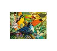 Puzzle Adulte 3000 Pieces Famille De Toucans Dans les Arbres - Collection Animaux et Oiseaux