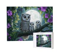 Puzzle Adulte 3000 Pièces La Chouette Lune Puzzles pour Adultes Jeu éducatif Défi Jouets 3000 Pièces Puzzles pour Adultes Enfants, Puzzle de Bricolage Coloré pour la Décor de la Maison 122x80cm l-970