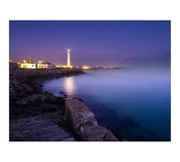 Puzzle Adulte 500 Pièces, Cadeau Unique-Côte,océan,Nuit 52x38cm