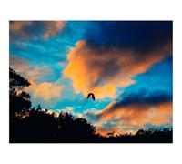 Puzzle Adulte 500 Pièces, Cadeau Unique-Oiseau,Ciel,vol 52x38cm