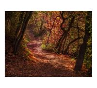 Puzzle Adulte 500 Pièces,Jeu De Société-forêts,Sentier,Feuilles 52x38cm