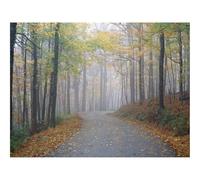 Puzzle Adulte 500 Pièces,Unique Home Decor-Avenue,Parc,Arbres,Secret,Brouillard,Route,Piste 52x38cm