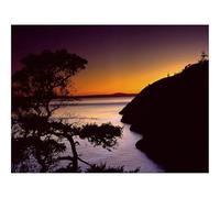 Puzzle Adulte 500 Pièces,Unique Home Decor-Côte,Mer,Arbre,Contours,Crépuscule,Soir,Ciel 52x38cm