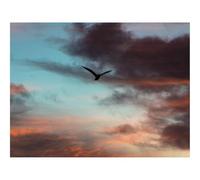 Puzzle Adulte 500 Pièces,Unique Home Decor-Oiseau,Ciel,Nuages 52x38cm