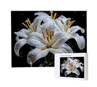 Puzzle Adulte 5000 Pièces Lys Floraux Puzzles pour Adultes Jeu éducatif Défi Jouets 5000 Pièces Puzzles pour Adultes Enfants, Puzzle de Bricolage Coloré pour la Décoration de la Maison 156x105cm l342