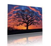 Puzzle Adulte 80 pièces Arbre Coucher Soleil Puzzles Classiques pour Adultes et Enfants à Partir de 6 Ans éducatif Jouets, Qualité Supérieure Mystery Éducatif Challenge, pour Cadeaux 15x20cm t-898