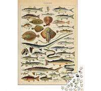 Puzzle Adulte avec 1000 Pièces avec Vintage Adolphe Millot, 52x38cm/1000pcs