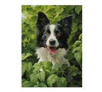 Puzzle Adulte Border Collie in Green, Format 500 PCS