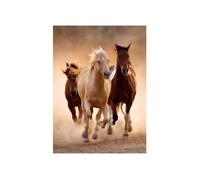 Puzzle Adulte - Chevaux Qui Courent En Liberte - 1000 Pieces - Clementoni - Collection Animaux