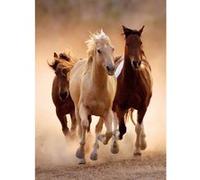 Puzzle adulte - chevaux qui courent en liberte - 1000 pieces - clementoni - collection animaux G