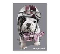 Puzzle Adulte Chien Teo Jasmin - 1000 Pieces - Collection Animaux Photo d Art