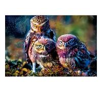 Puzzle Adulte de 1000(38x26cm) pièces, Hibou mystérieux Multicolore, Puzzle de Haute difficulté, adapté à Offrir à la Famille et aux Amis, décoration intérieure