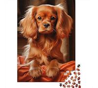 Puzzle Adulte De 1000 Pièces, Ruby Cavalier King Charles Spaniel, 38x26cm/1000pcs; Pièces Blanches avec Peu De Poussière; Loisir De Table pour La Famille