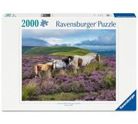 Puzzle Adulte de 2000 pièces - Chevaux Sauvages dans la Lande
