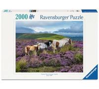 Puzzle Adulte de 2000 pièces - Chevaux Sauvages dans la Lande