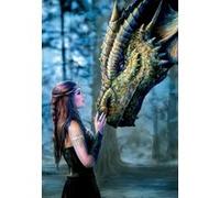 Puzzle adulte : dragon - il etait une fois - 1000 pieces - educa multicolore G