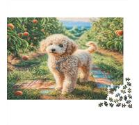 Puzzle Adulte Éducatif Chien de Compagnie Mignon Caniche dans Un Verger 1000 pièces Jeux Déco Maison 38x26cm 1000 pièces