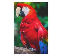 Puzzle Adulte en Plusieurs Pièces Red Yellow and Blue Parrot Puzzle Familial : Un Défi Difficile, Un pour Les Amis Et La Famille 75x50cm/1000pcs